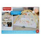 Tapete de Atividades para Bebês - Primeiros Sentidos - Fisher Price - Mattel