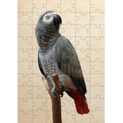2 Quebra-Cabeças Inclusivos 40 peças  Aves Belas para Mentes Inteligentes