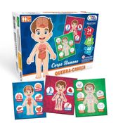 Jogo Quebra-Cabeças Corpo Humano 24/36/48 Peças