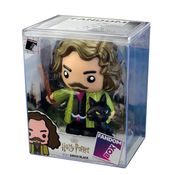 Fandom Box Sirius Black - Harry Potter