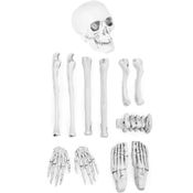Kit Decoração Halloween Cemitério Cranio Pé Mão e 7 Ossos de Esqueleto Realista Casa Jardim Quintal -