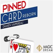 Pinned Card Reborn Damien Vappereau B+