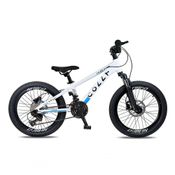 Bicicleta Aro 20 Colli Dublin Shimano 8v Branco